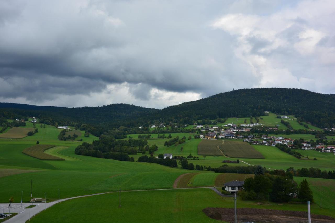 Hotel Boehmerwaldhof 乌尔里希斯贝格 外观 照片